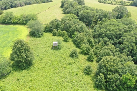 Hunting Paradise with CRP near Bethany, MO - image 19