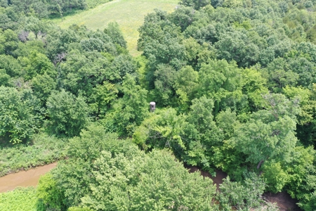 Hunting Paradise with CRP near Bethany, MO - image 23