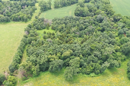 Hunting Paradise with CRP near Bethany, MO - image 7