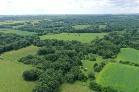 Hunting Paradise with CRP near Bethany, MO - image 3