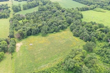 Hunting Paradise with CRP near Bethany, MO - image 6