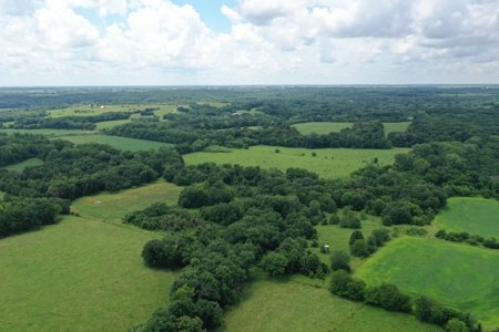 Hunting Paradise with CRP near Bethany, MO - image 2