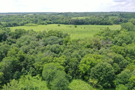 Hunting Paradise with CRP near Bethany, MO - image 20