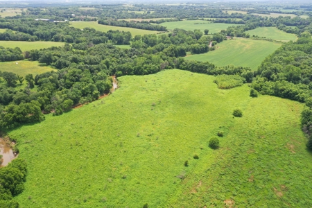 Hunting Paradise with CRP near Bethany, MO - image 18