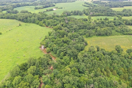 Hunting Paradise with CRP near Bethany, MO - image 11