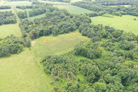 Hunting Paradise with CRP near Bethany, MO - image 5