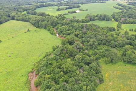 Hunting Paradise with CRP near Bethany, MO - image 10