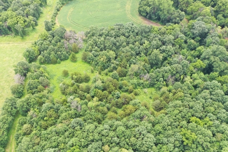 Hunting Paradise with CRP near Bethany, MO - image 8