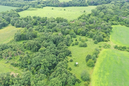 Hunting Paradise with CRP near Bethany, MO - image 4