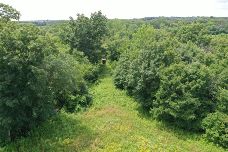 Hunting Paradise with CRP near Bethany, MO - image 24
