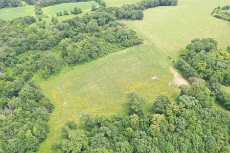 Hunting Paradise with CRP near Bethany, MO - image 9