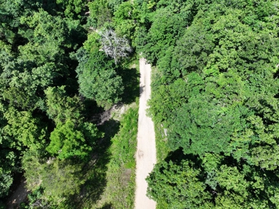 40 Secluded Acres in Ozark County Missouri Near Bull Shoals Lake - image 36