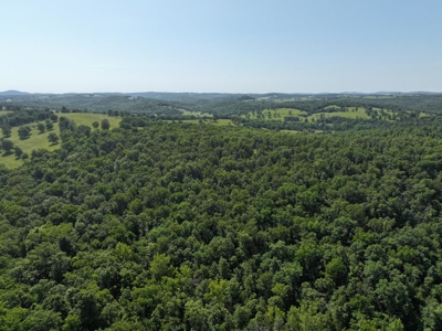 40 Secluded Acres in Ozark County Missouri Near Bull Shoals Lake - image 31