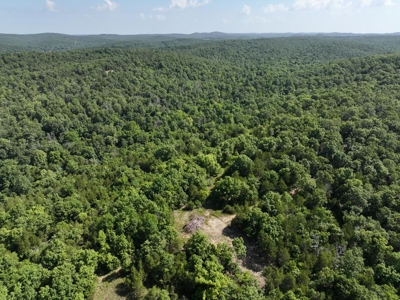 40 Secluded Acres in Ozark County Missouri Near Bull Shoals Lake - image 8