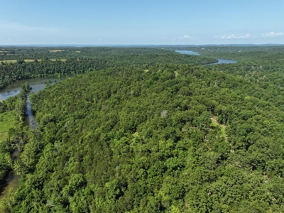40 Secluded Acres in Ozark County Missouri Near Bull Shoals Lake - image 40