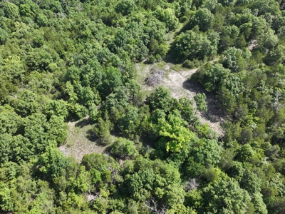 40 Secluded Acres in Ozark County Missouri Near Bull Shoals Lake - image 25