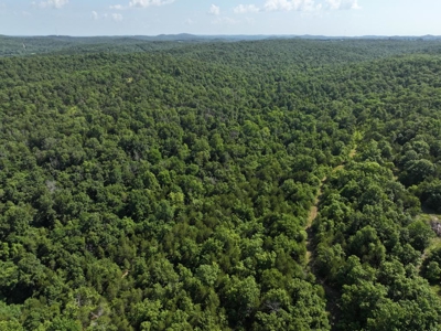 40 Secluded Acres in Ozark County Missouri Near Bull Shoals Lake - image 9