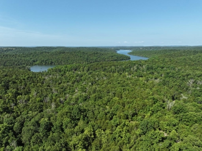 40 Secluded Acres in Ozark County Missouri Near Bull Shoals Lake - image 7