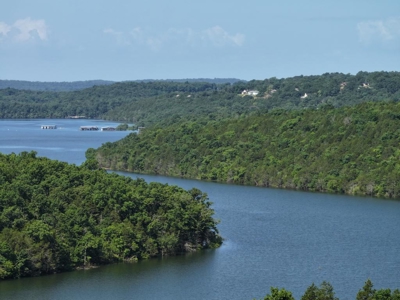 40 Secluded Acres in Ozark County Missouri Near Bull Shoals Lake - image 21