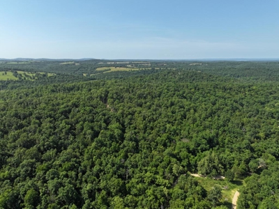 40 Secluded Acres in Ozark County Missouri Near Bull Shoals Lake - image 29