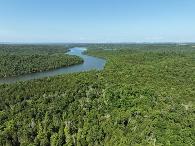 40 Secluded Acres in Ozark County Missouri Near Bull Shoals Lake - image 13