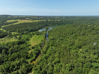 40 Secluded Acres in Ozark County Missouri Near Bull Shoals Lake - image 39