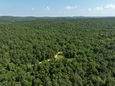 40 Secluded Acres in Ozark County Missouri Near Bull Shoals Lake - image 4