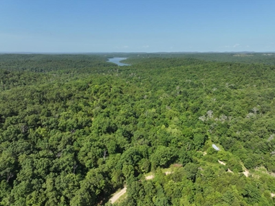 40 Secluded Acres in Ozark County Missouri Near Bull Shoals Lake - image 2