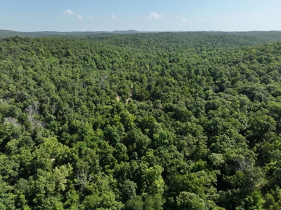 40 Secluded Acres in Ozark County Missouri Near Bull Shoals Lake - image 26
