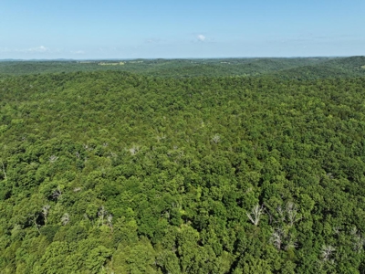 40 Secluded Acres in Ozark County Missouri Near Bull Shoals Lake - image 23