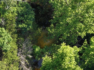 40 Secluded Acres in Ozark County Missouri Near Bull Shoals Lake - image 19