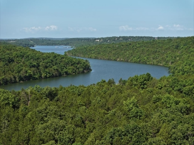 40 Secluded Acres in Ozark County Missouri Near Bull Shoals Lake - image 20