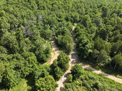 40 Secluded Acres in Ozark County Missouri Near Bull Shoals Lake - image 28