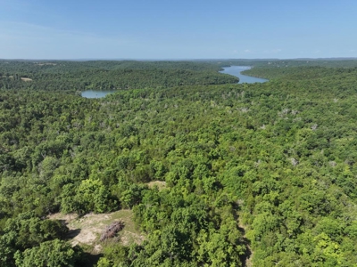 40 Secluded Acres in Ozark County Missouri Near Bull Shoals Lake - image 1