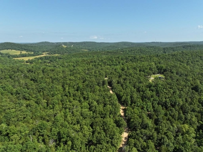 40 Secluded Acres in Ozark County Missouri Near Bull Shoals Lake - image 33