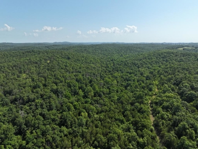 40 Secluded Acres in Ozark County Missouri Near Bull Shoals Lake - image 10