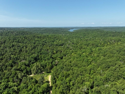 40 Secluded Acres in Ozark County Missouri Near Bull Shoals Lake - image 34