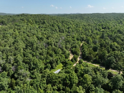 40 Secluded Acres in Ozark County Missouri Near Bull Shoals Lake - image 27