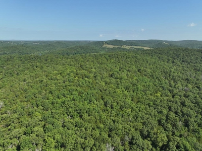 40 Secluded Acres in Ozark County Missouri Near Bull Shoals Lake - image 15