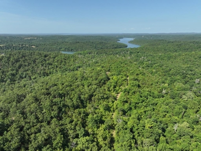 40 Secluded Acres in Ozark County Missouri Near Bull Shoals Lake - image 5