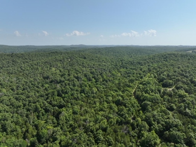 40 Secluded Acres in Ozark County Missouri Near Bull Shoals Lake - image 14