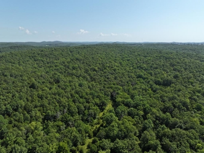40 Secluded Acres in Ozark County Missouri Near Bull Shoals Lake - image 32