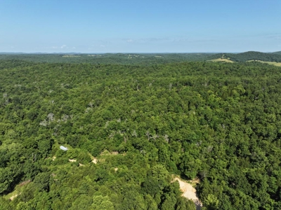 40 Secluded Acres in Ozark County Missouri Near Bull Shoals Lake - image 3
