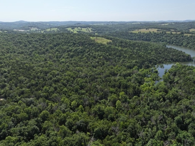 40 Secluded Acres in Ozark County Missouri Near Bull Shoals Lake - image 17