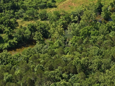 40 Secluded Acres in Ozark County Missouri Near Bull Shoals Lake - image 37