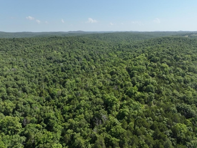 40 Secluded Acres in Ozark County Missouri Near Bull Shoals Lake - image 24