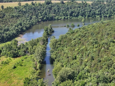 40 Secluded Acres in Ozark County Missouri Near Bull Shoals Lake - image 38