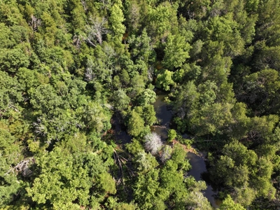40 Secluded Acres in Ozark County Missouri Near Bull Shoals Lake - image 18