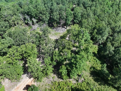 40 Secluded Acres in Ozark County Missouri Near Bull Shoals Lake - image 41