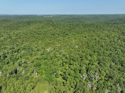 40 Secluded Acres in Ozark County Missouri Near Bull Shoals Lake - image 12